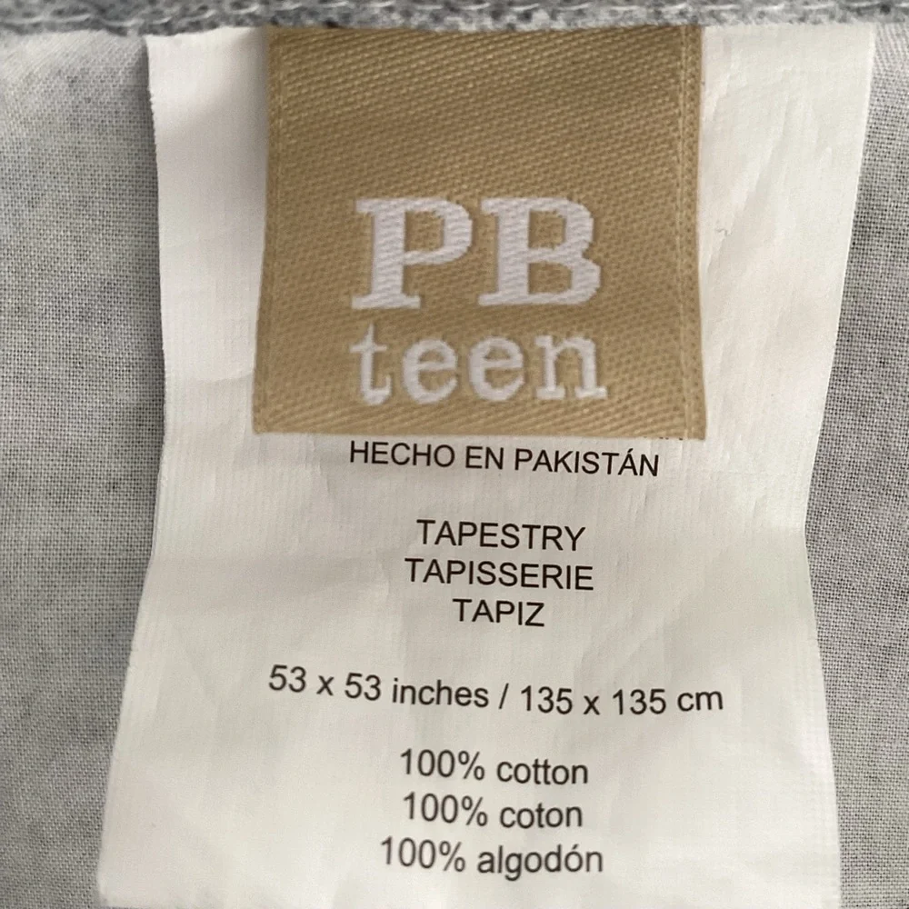 Pottery Barn Teen Tapestry